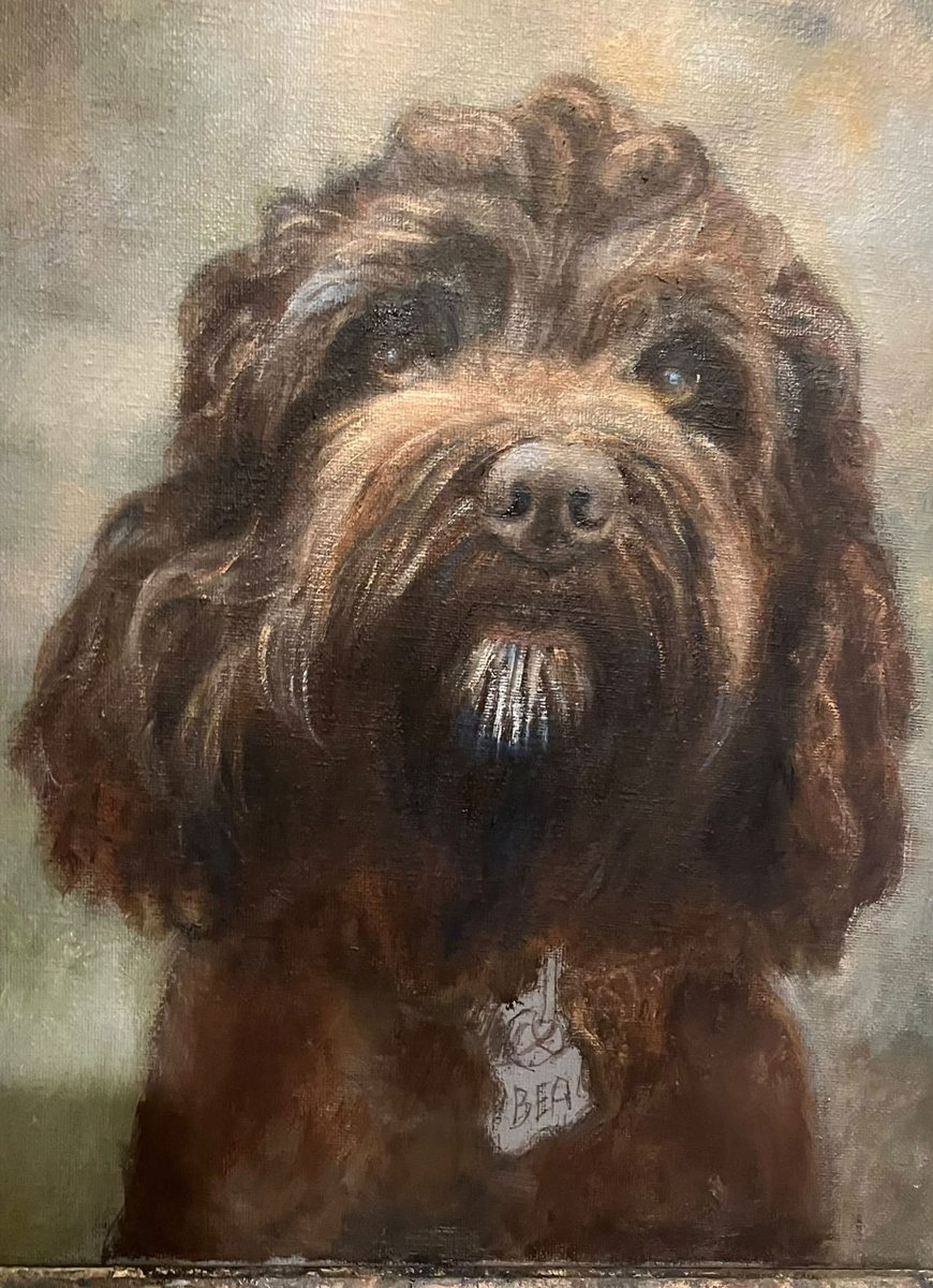 Oil portrait of Bea, a curly chocolate-brown dog, at the glazing stage