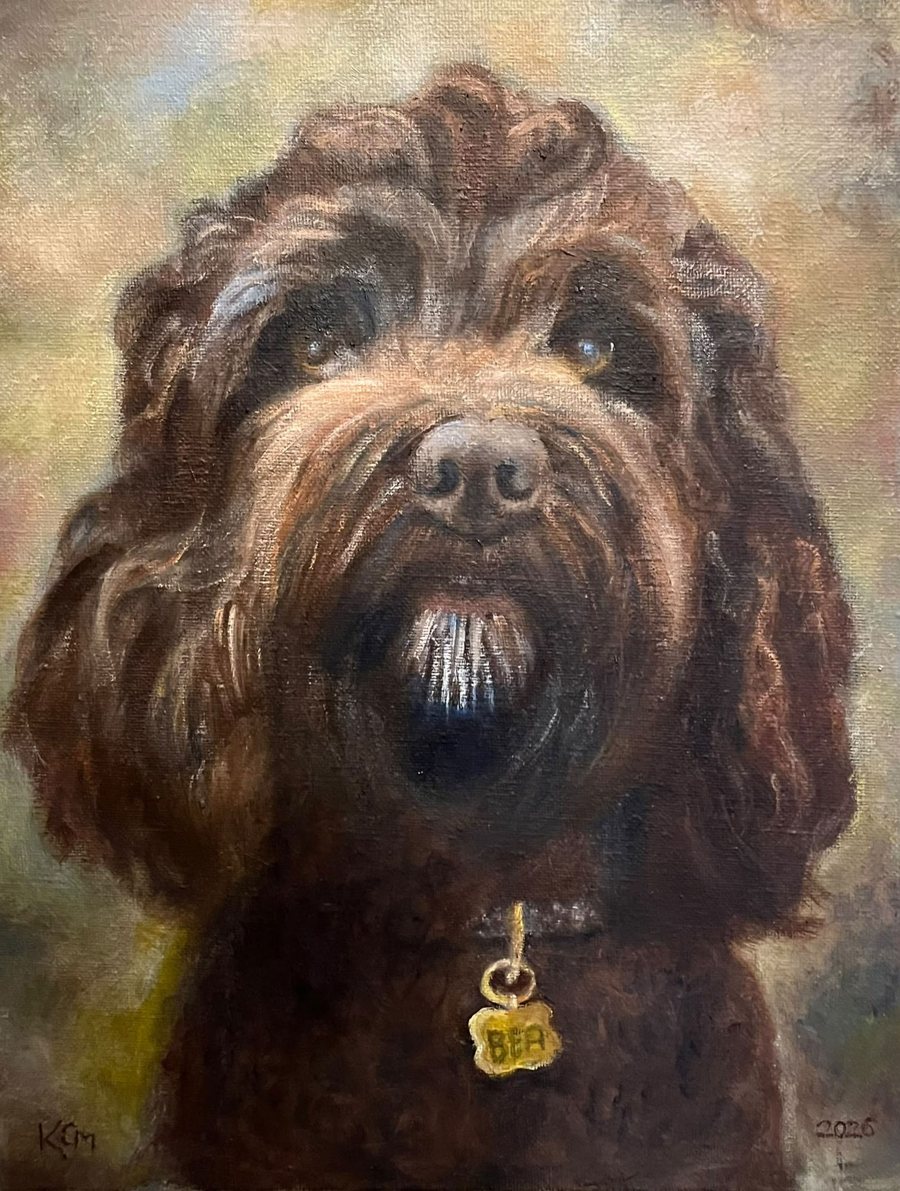 Oil portrait of Bea, a curly chocolate-brown dog, at the finished stage