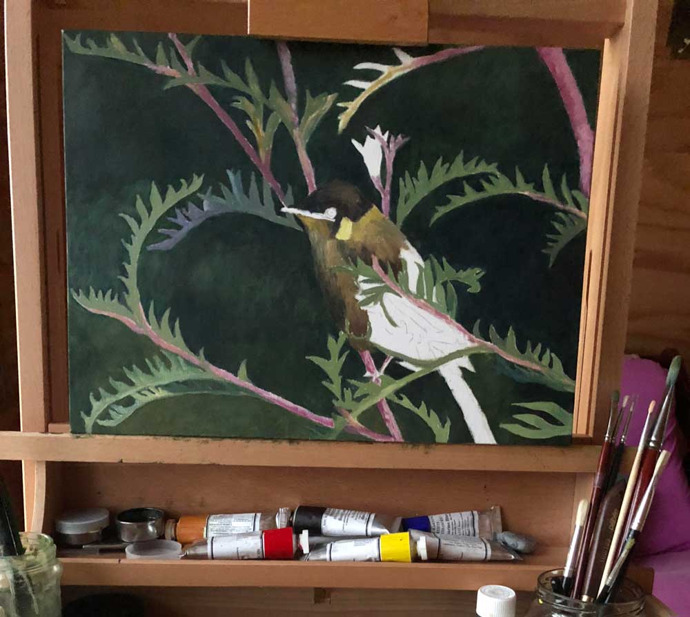 Honey eater - oil painting in progress