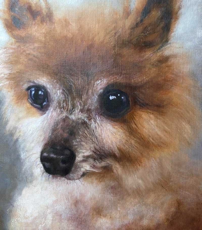 Close oil portrait of Chichi, a small ginger Pomeranian