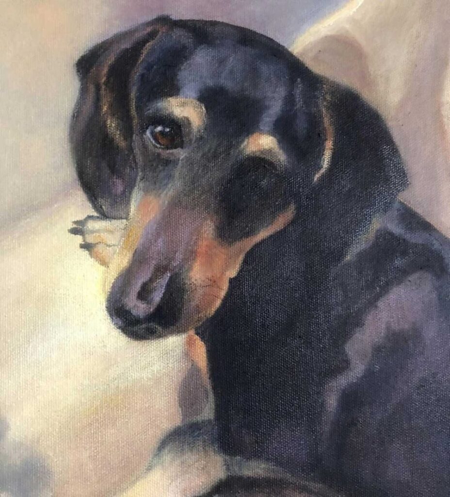 Oil portrait of Romeo, a black and tan dachshund looking back over his shoulder