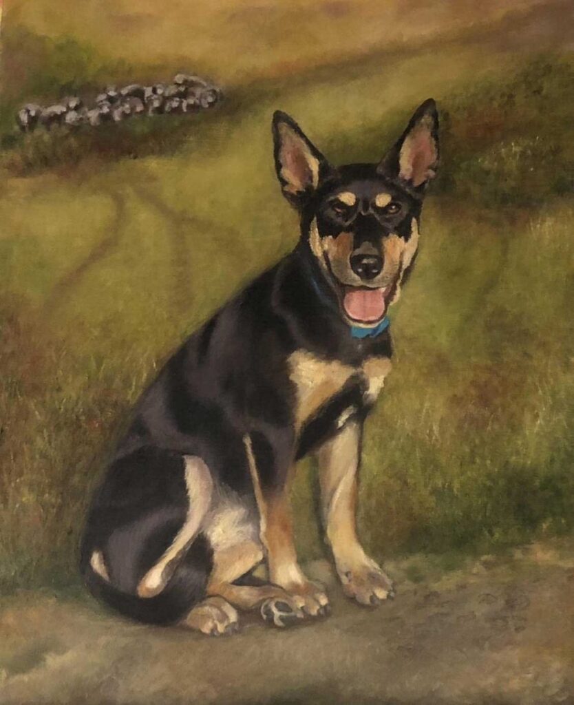 Oil portrait of Roxy, a black and tan kelpie sitting on a farm track with sheep behind